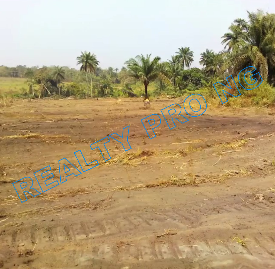 1 Acre Of Land For Sale